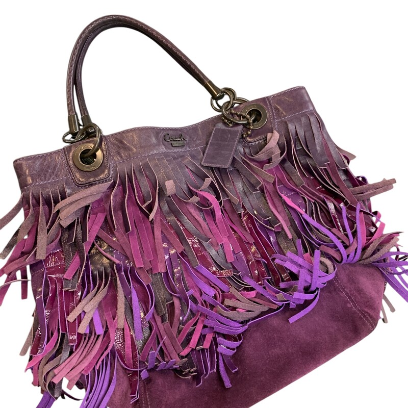 Coach Fringes, Purple, Size: L