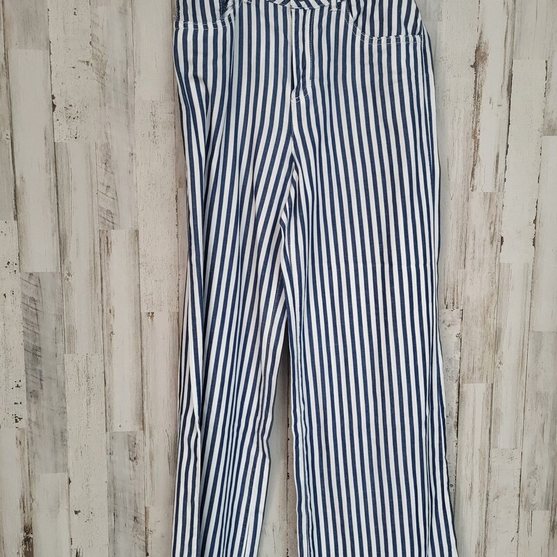 16 Blue Striped Pants