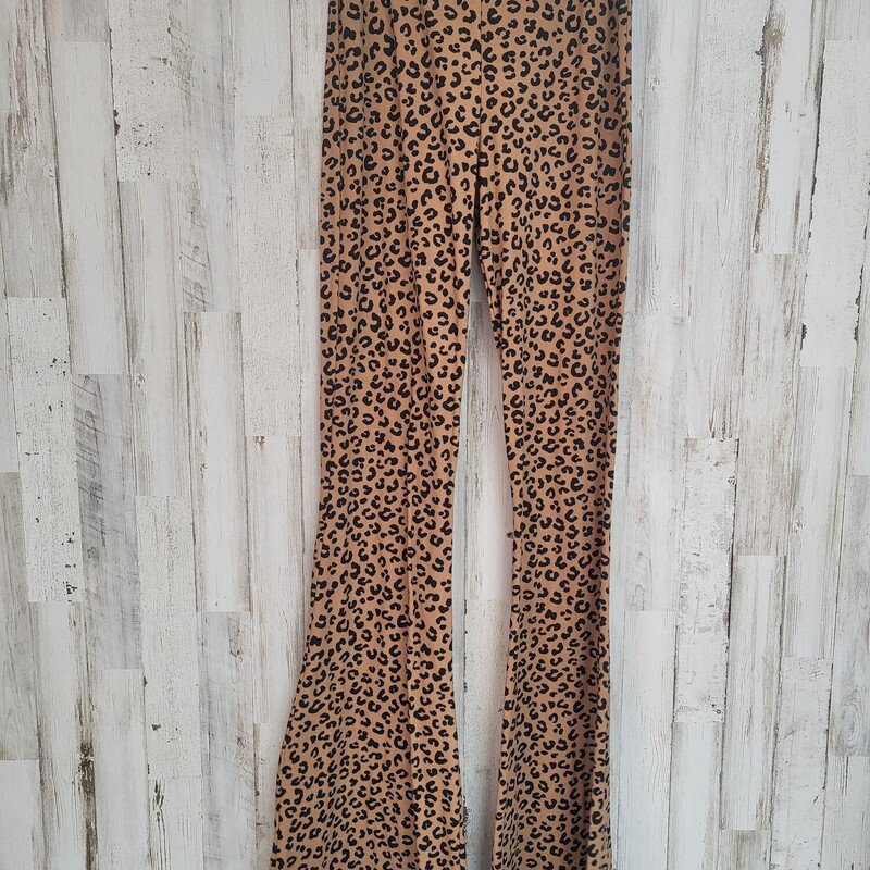 S Tan Leopard Flares, Tan, Size: Ladies S