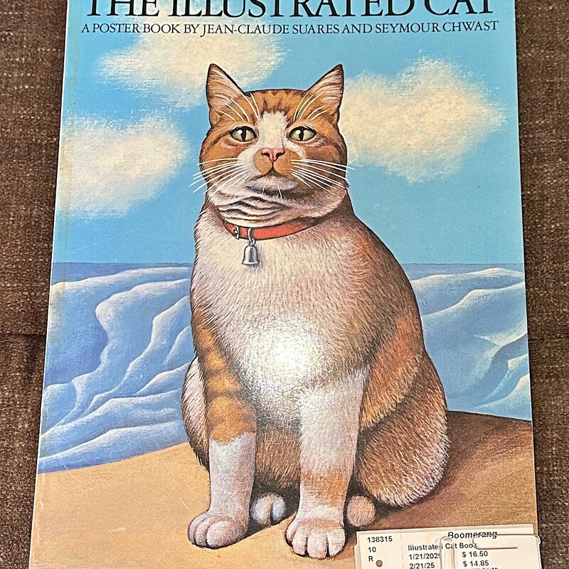 Illustrated Cat Book