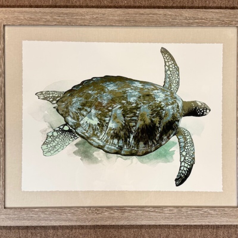 Watercolor Sea Turtle
Gray, White, Blue, Green
Size: 31.5x25.5H