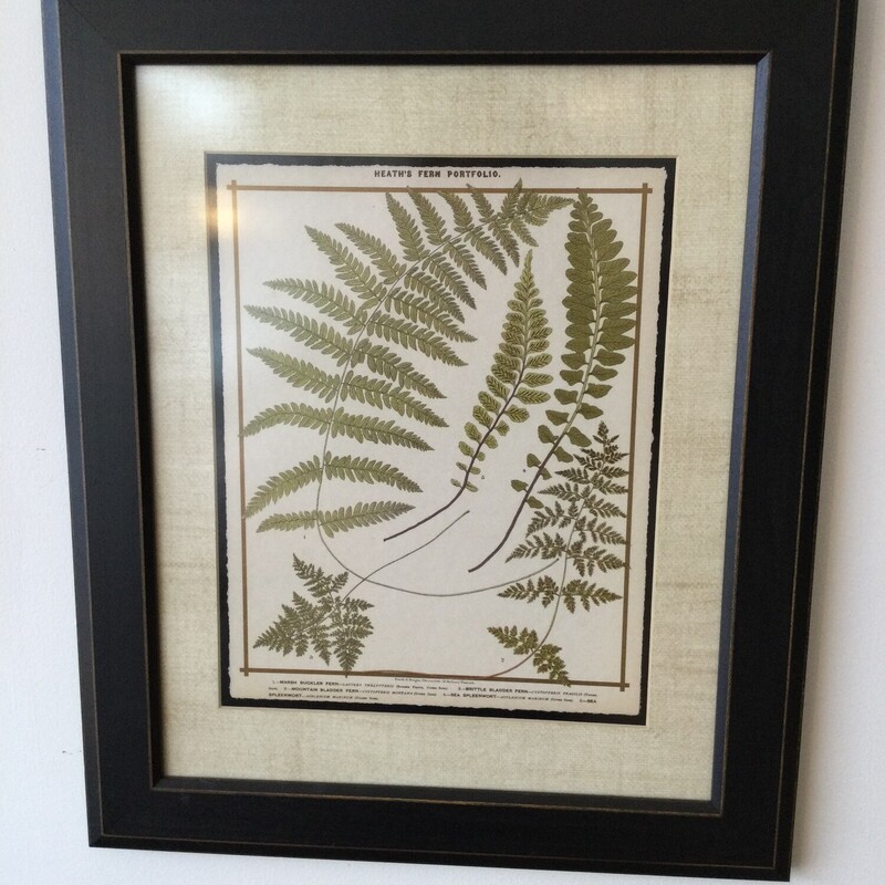 Framed Fern Botanitcal,
Beige/Green,
Size: 24 X 20 In