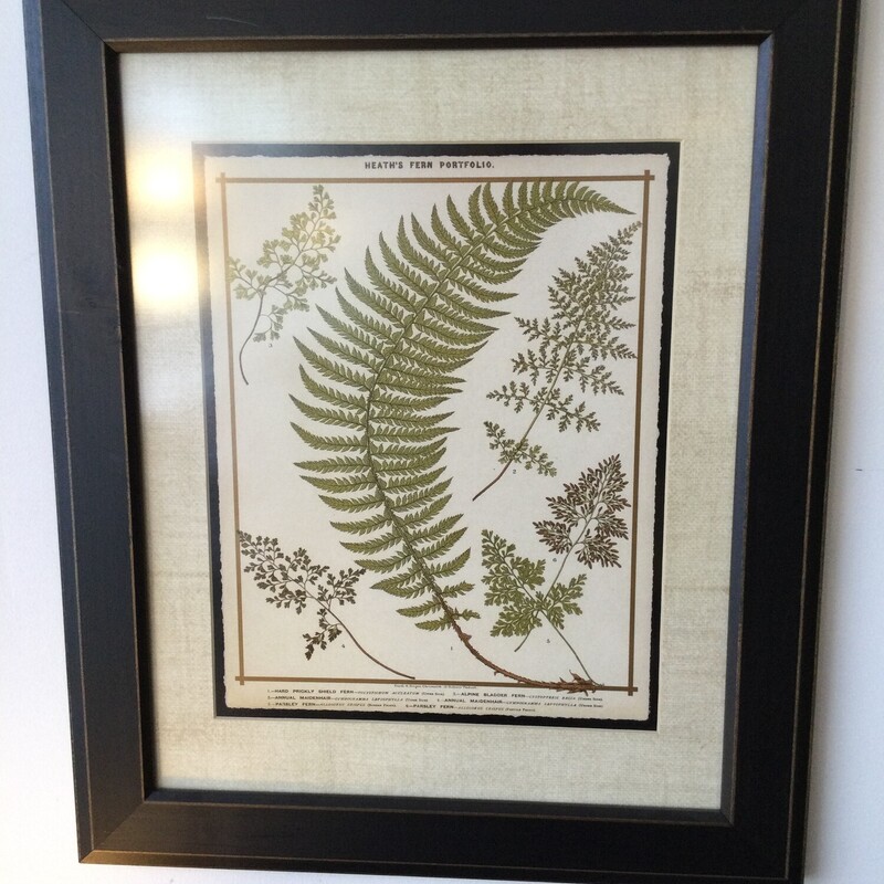 Framed Fern Botanitcal,
Beige/Green,
Size: 24 X 20 In