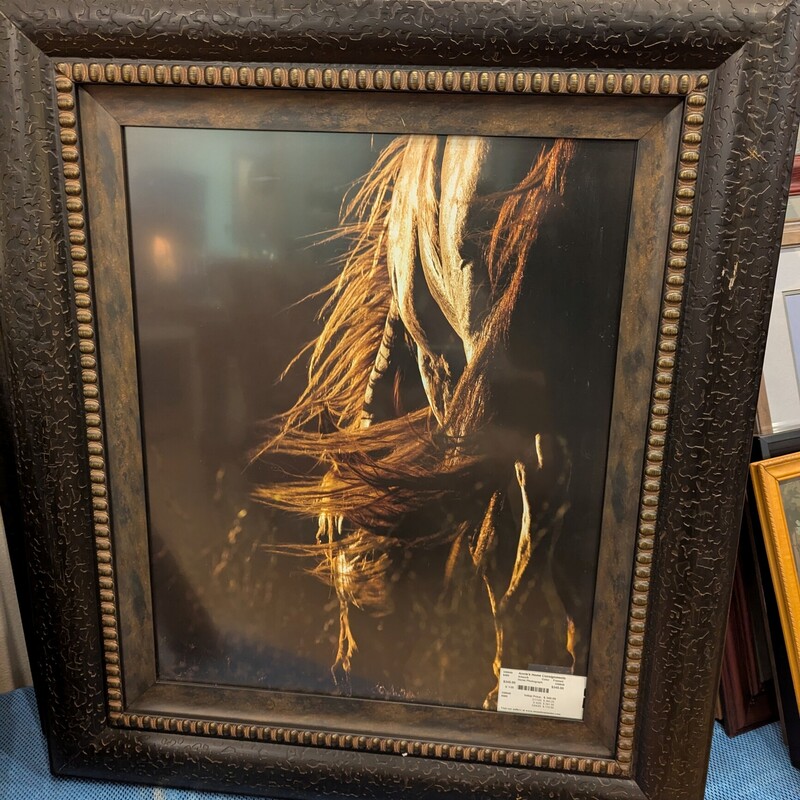 Horse Photograph, Color, Size: Framed 33in W 39in H