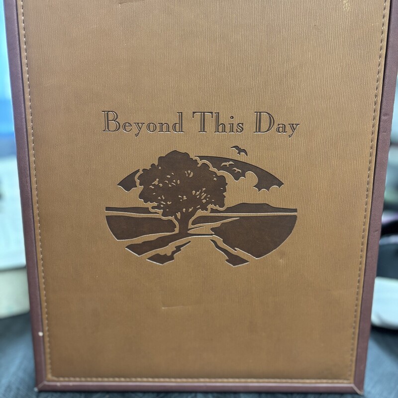 Beyond This Day Book