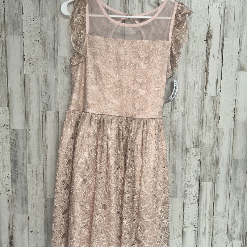 18 Blush Lace Floral Dres