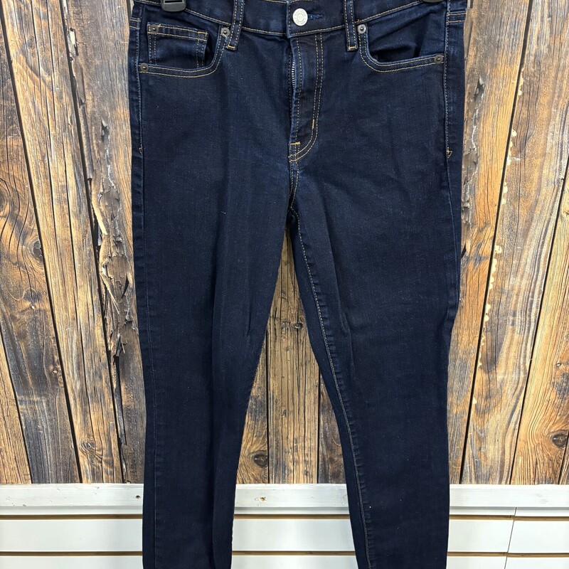 GAP Dark Skinny Jeans, Size: 27T