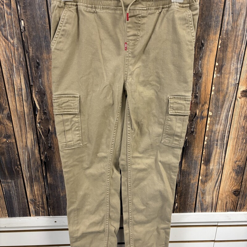 Levis Cargo Pants, Size: 14