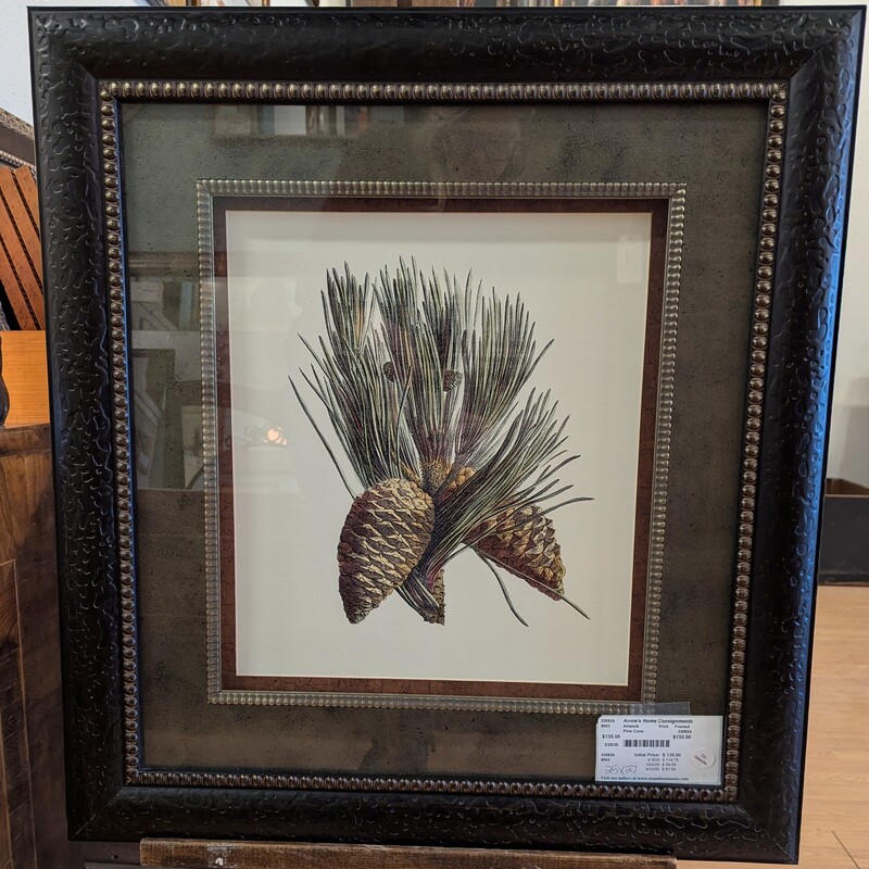 Pine Cone, Print, Framed 25w x 27h