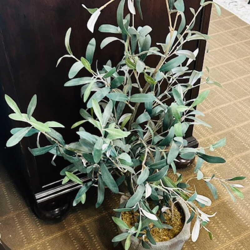 Olive Leaves In Pottery