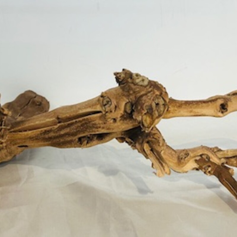 Knobby Driftwood Branch Decor
Brown Size: 18 x 10 x 6H