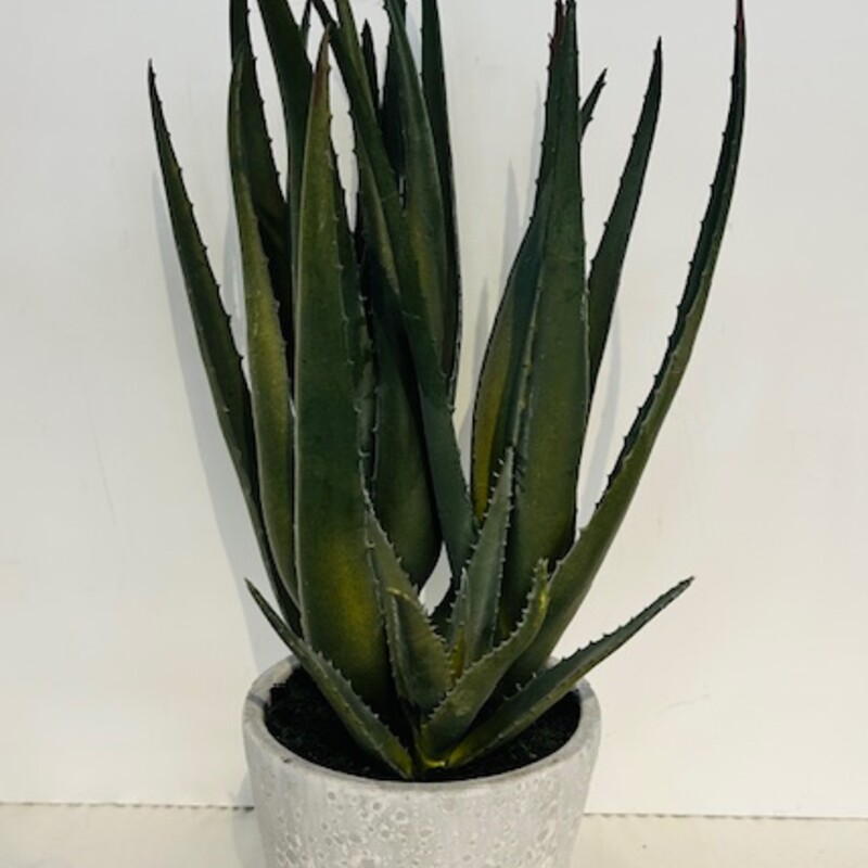 Faux Aloe In Cement Pot