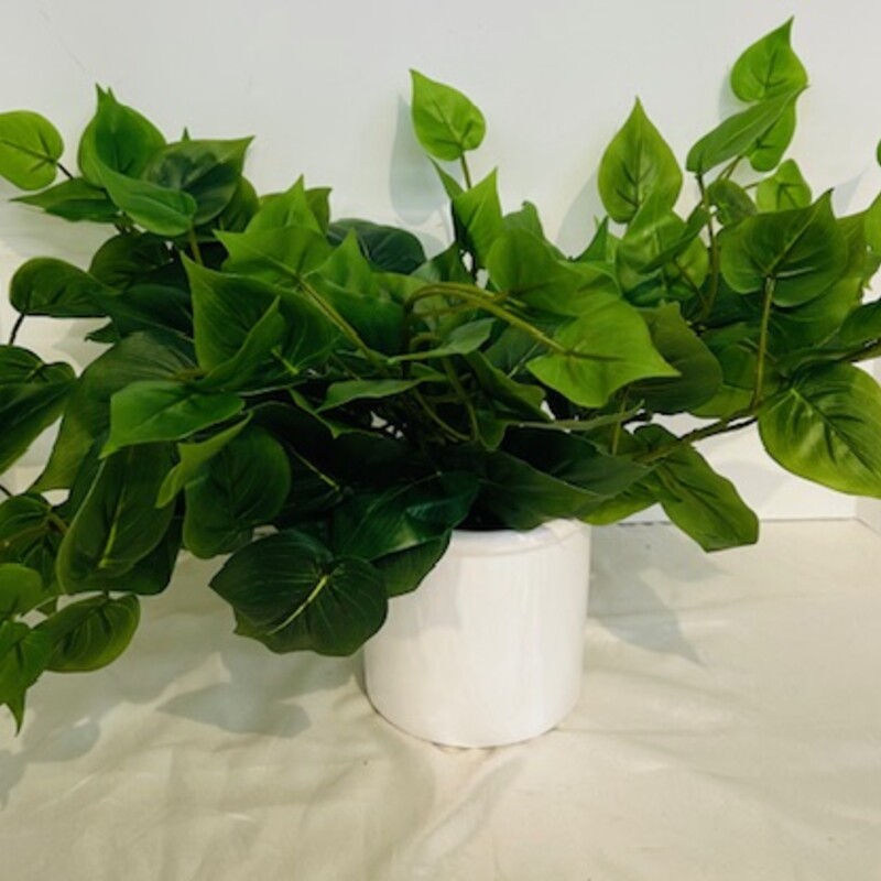 Leafy Vines In Ceram Pot