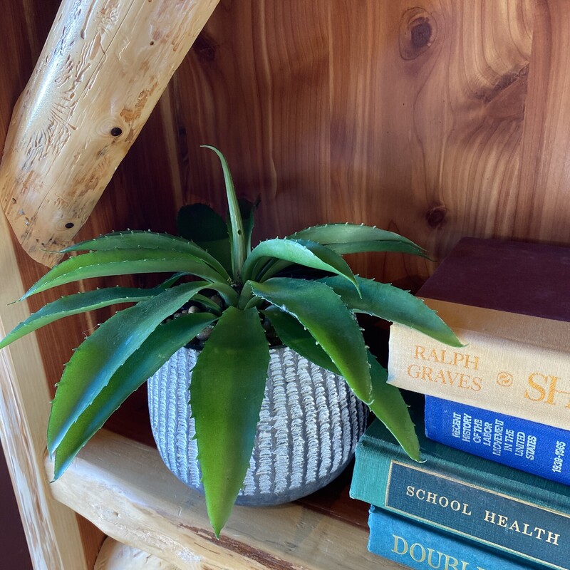 Faux Plant In Black/White