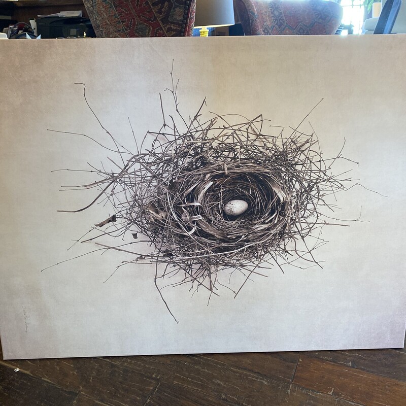 Nest Canvas