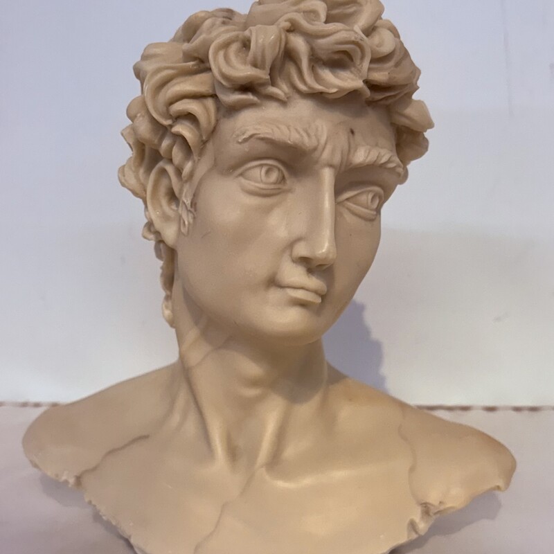 Resin David Head Statue
White
Size: 7x7H