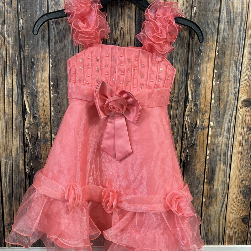 Pink Rose Dress, Size: 5