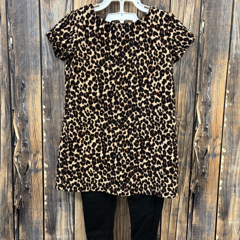 Animal Print Outfit, Size: 18-24 Mont