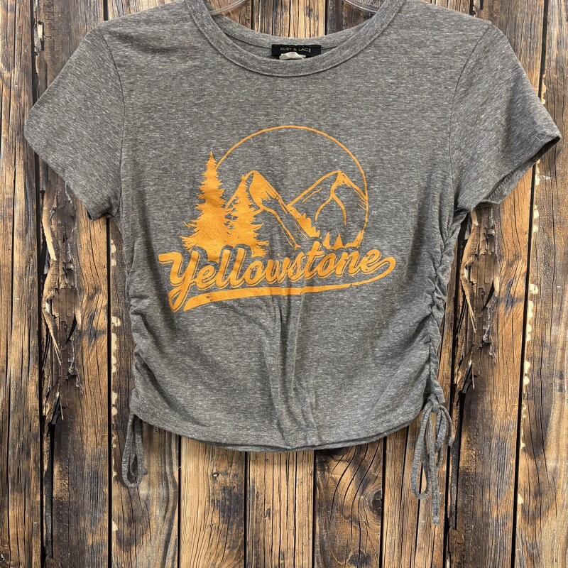 Yellowstone Crop Top, Size: S