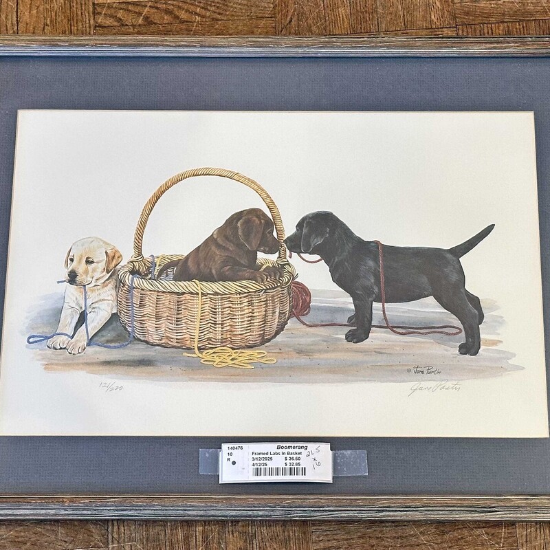 Framed Labs In Basket