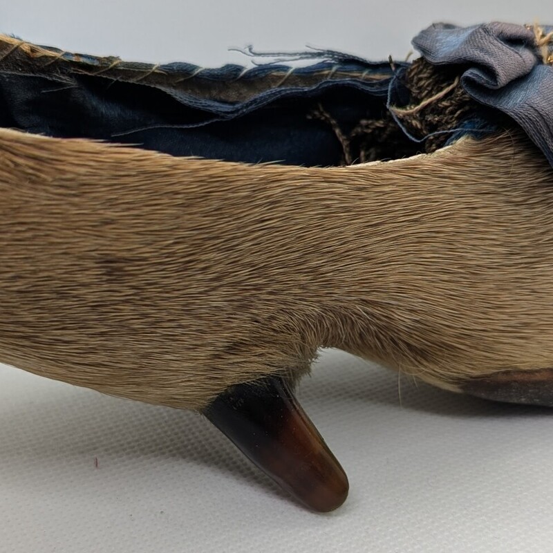 Victorian Deer Foot Shoe, Ribbon, Hoof<br />
8in x 2in x 2.5in h