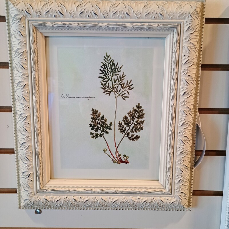 Framed Fern Print