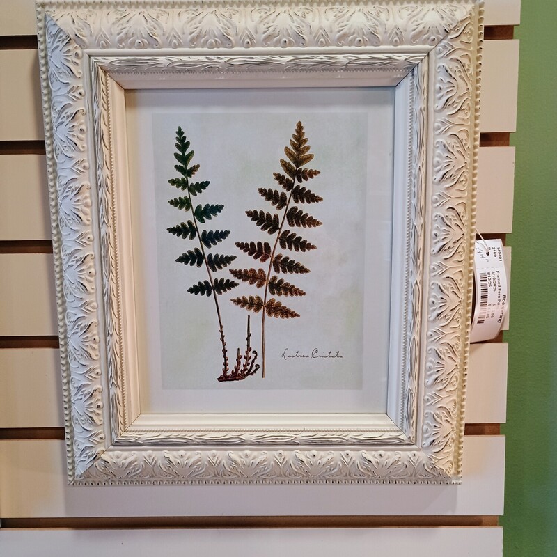 Framed Fern Print