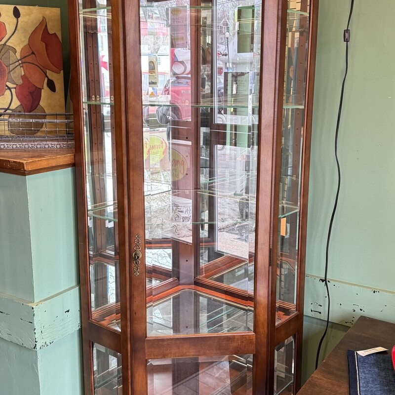 5 Shelf Lighted Curio Cab