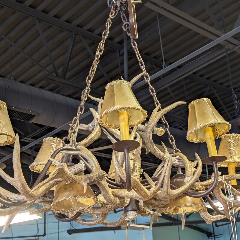 Antler 8 Light Chandelier,
Two are down pointing, Hide shades
39w x 24d x 18h to top of antlers