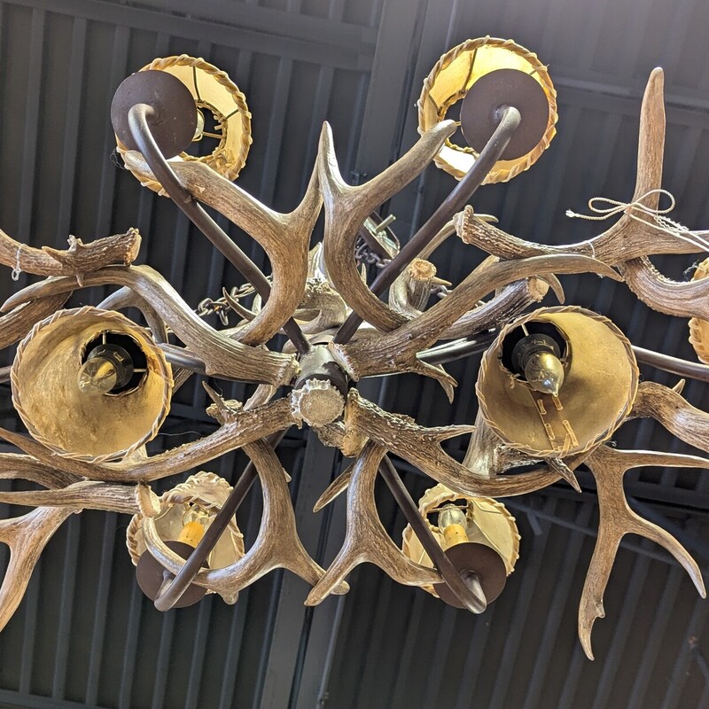 Antler 8 Light Chandelier,<br />
Two are down pointing, Hide shades<br />
39w x 24d x 18h to top of antlers