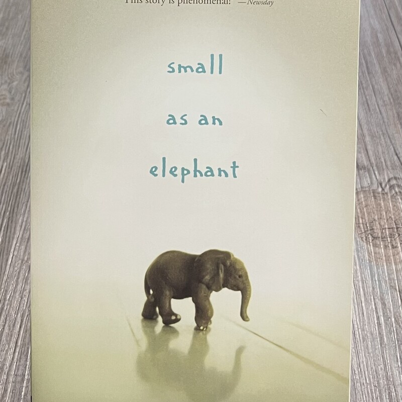 Small As An Elephant