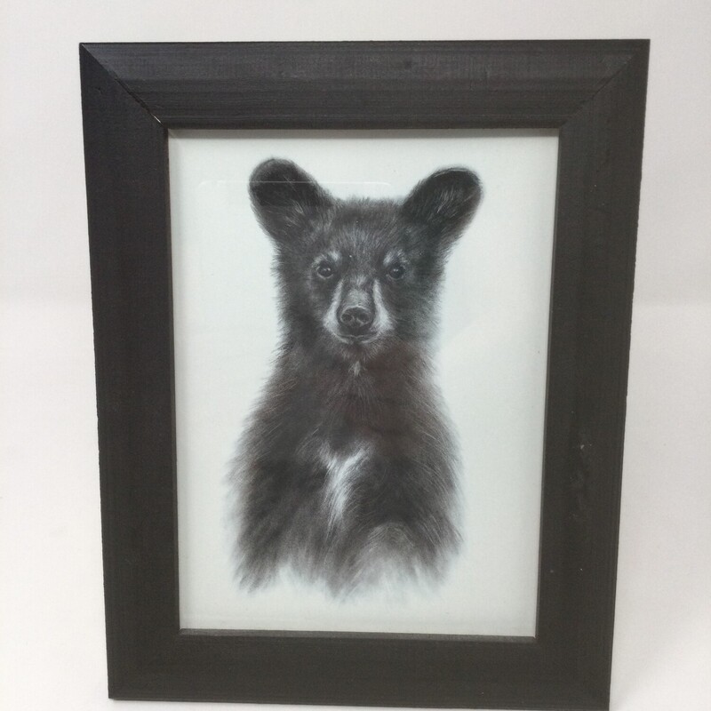 Framed Black Bear,
Black/White,
Size: 9 X 7 In