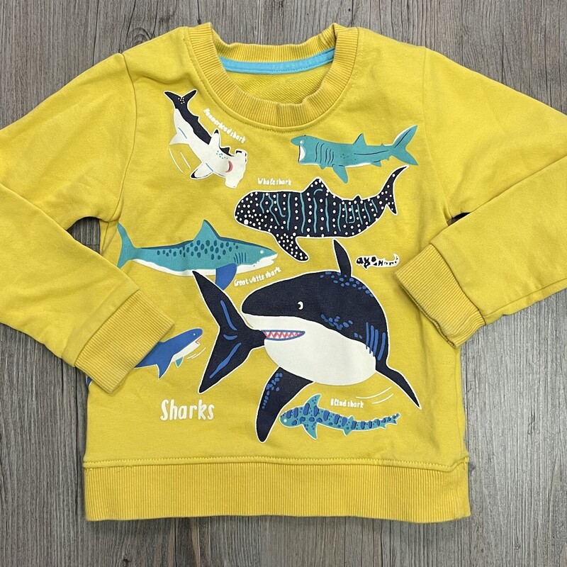 Sharks Sweatshirt