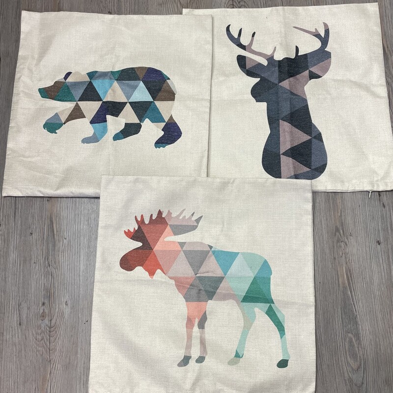 Pillow Decor Cover