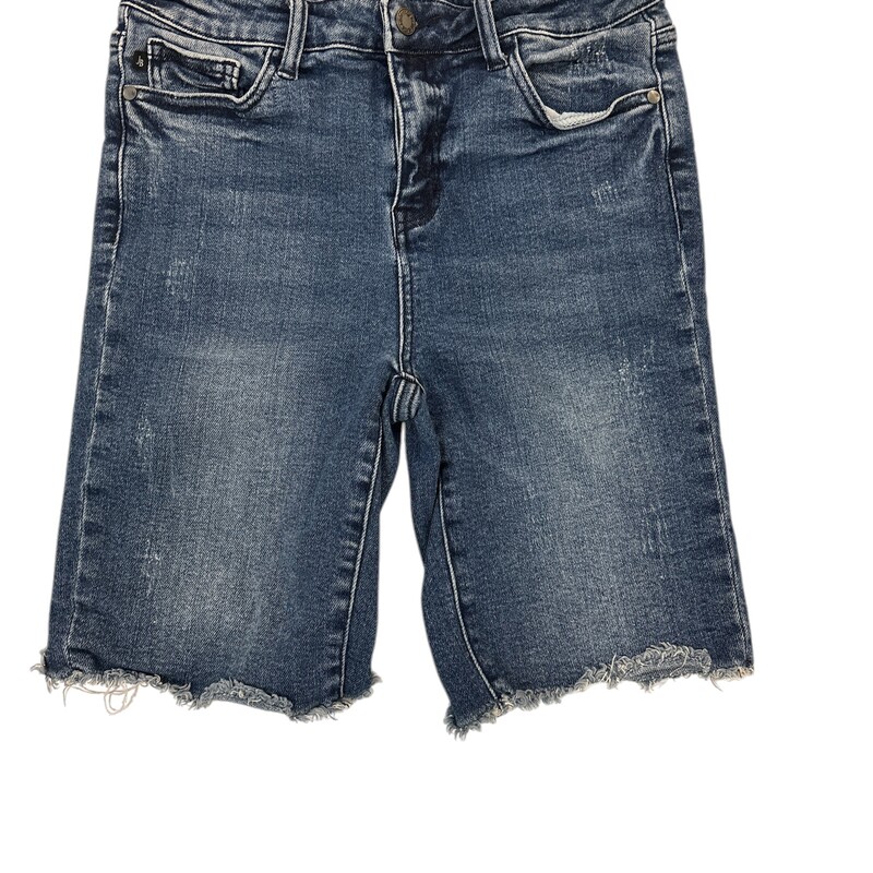 Shorts: Denim Cutoff
