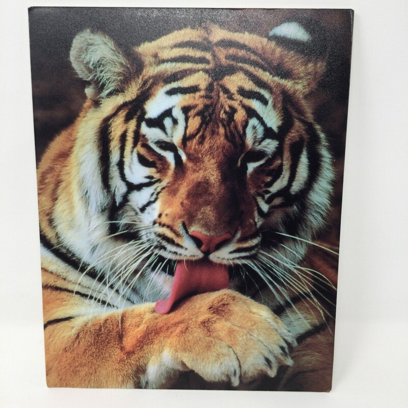Picture Of Tiger