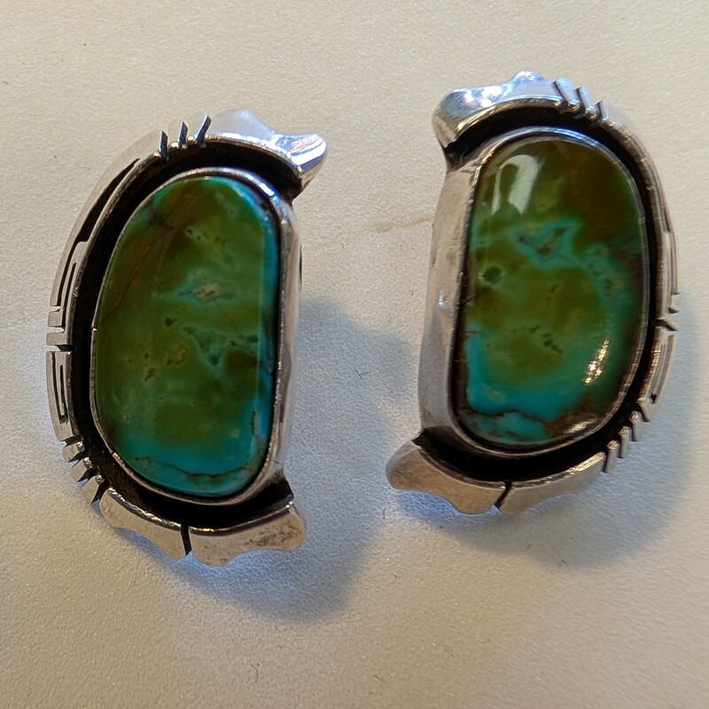 Signed Turquoise and Sterling Earrings
Jerry J Nelson
.75 in w x 1in h