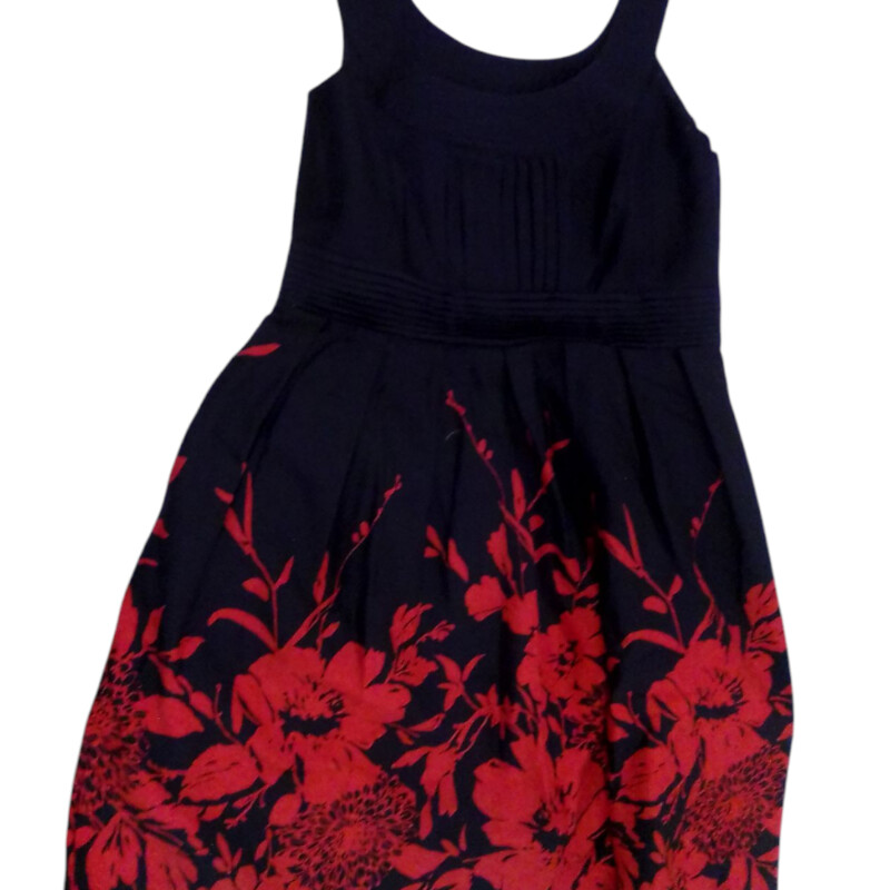 Dress: Blue/Red