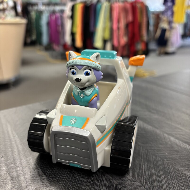 Everest W/ Vehicle