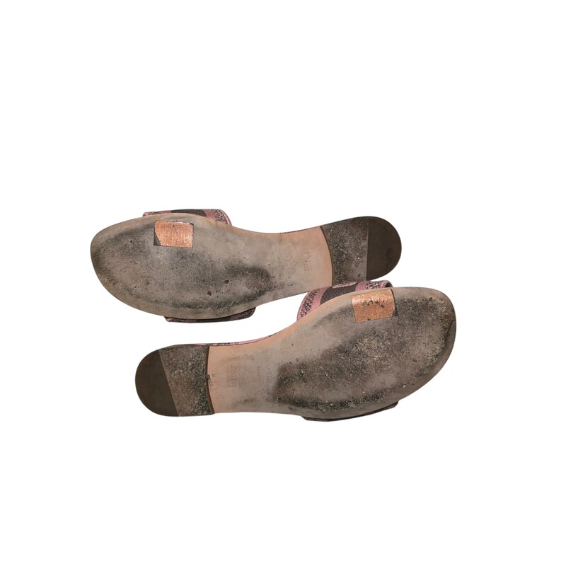 Dior D Way Embrioder Logo Pink & Gray Slides<br />
<br />
Size 38.5<br />
<br />
Style Code: NE 03 23<br />
<br />
In very good condition. Some wear on bottoms.<br />
<br />
Does not come with original dust bag or box.
