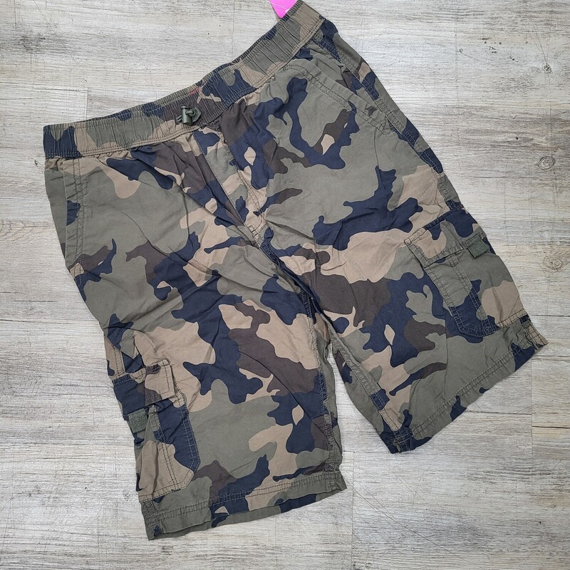 20 Camo Cargo Shorts