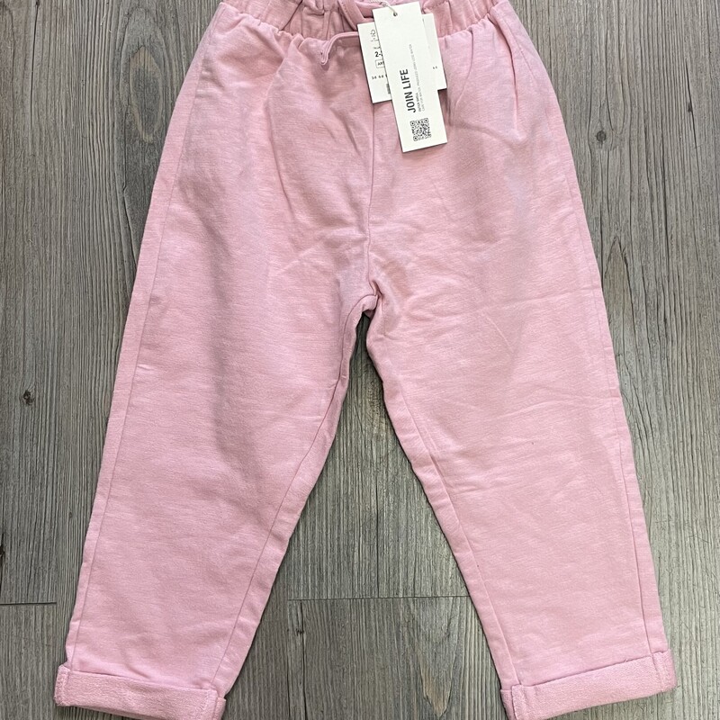 Zara Pants