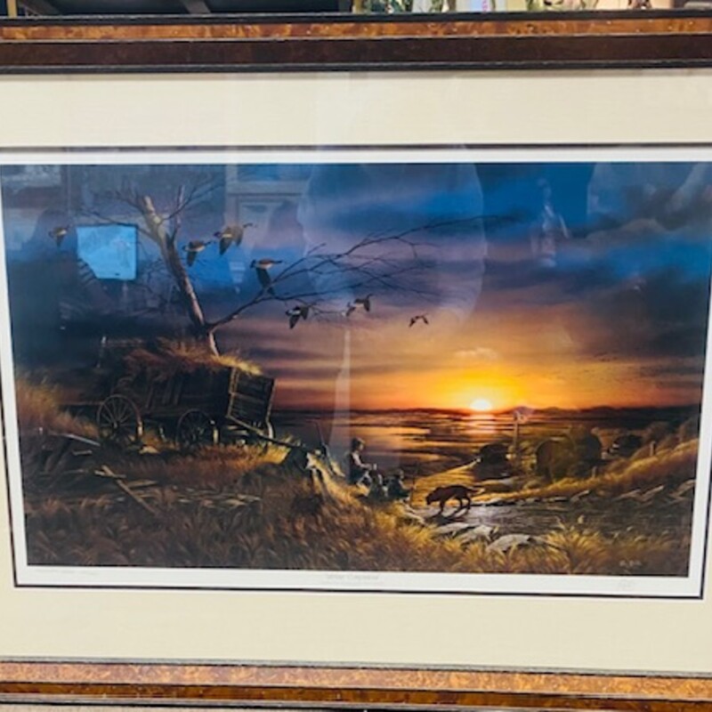 LifetimeCompanions Redlin