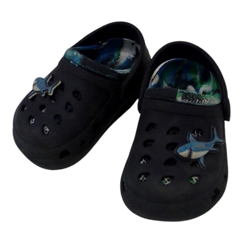 Shark Sandels