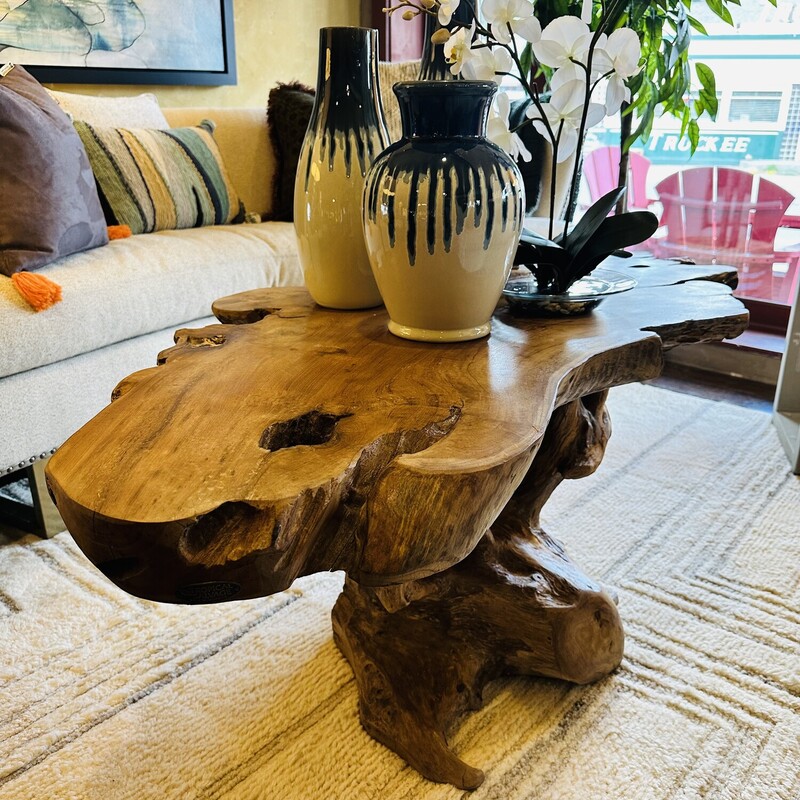 Teak Root Coffee Table