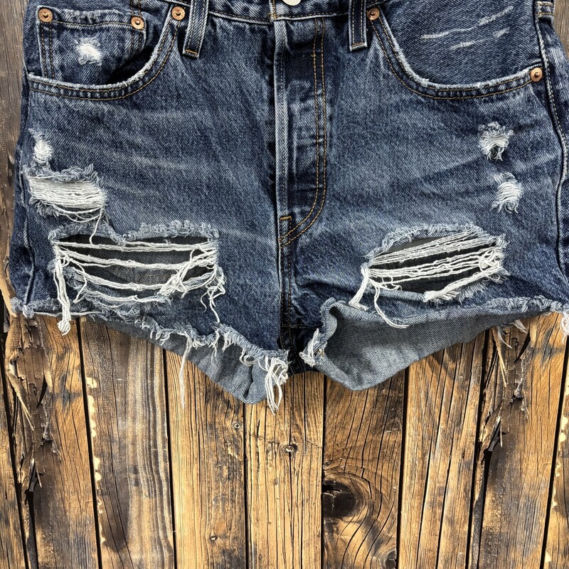 Dark Wash Distressed Shorts, Size: 6