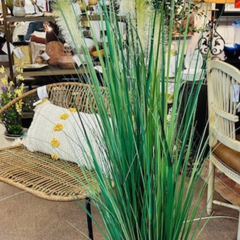 Silk Grasses In Pot