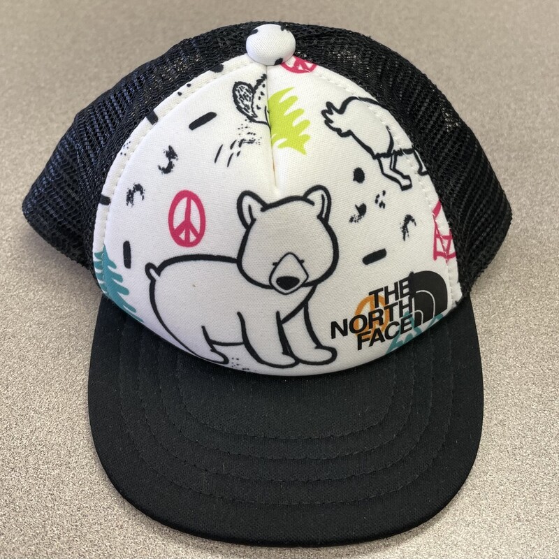 North Face Baseball Cap