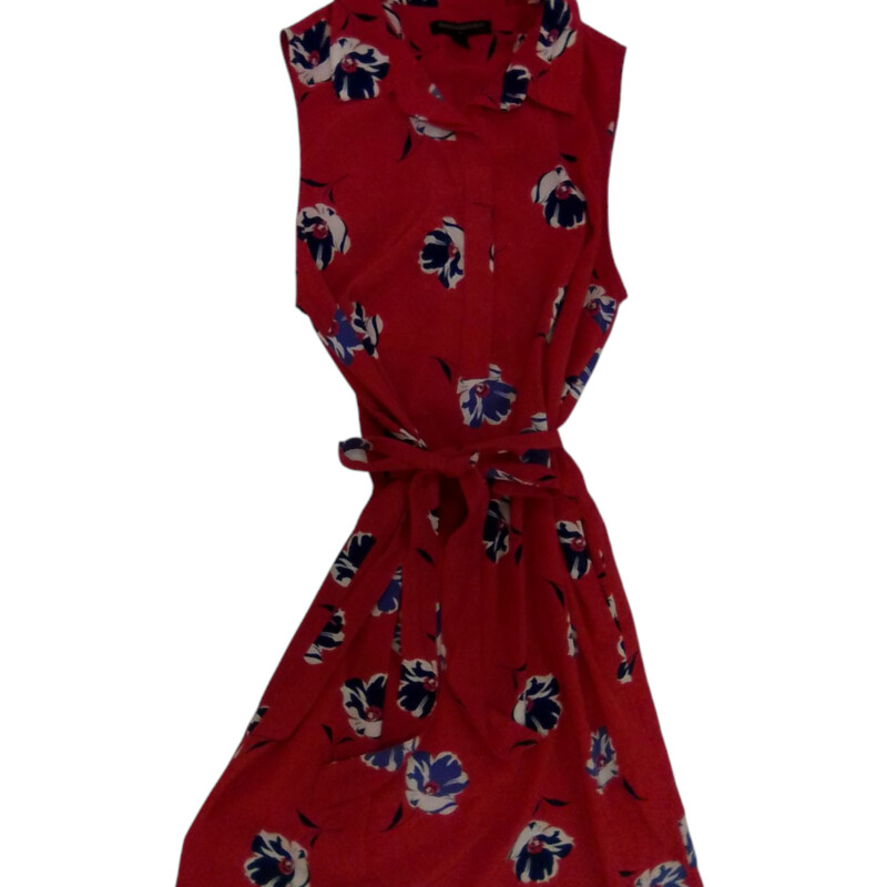 Dress: Red/Blue Flowers