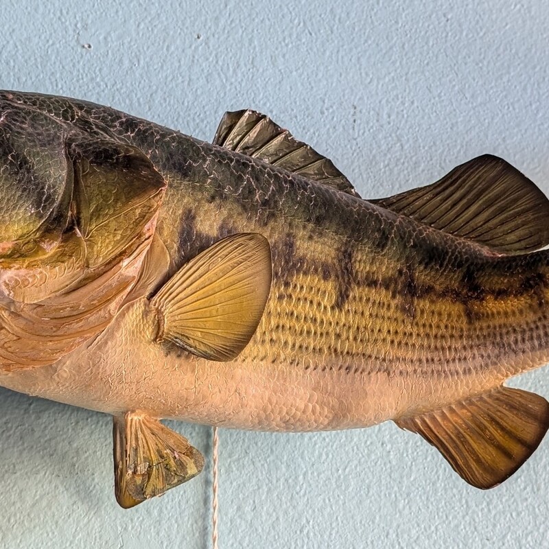 Vtg Large Mouth Bass